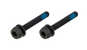Болт для калипера Campagnolo 2x44mm Screws for 35-39mm Rear Mount Thickness