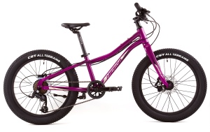 Велосипед Merida MATTS J 20+ Pro