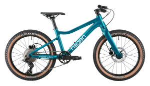 Велосипед Hagen Teen 20 R 20" (2025)