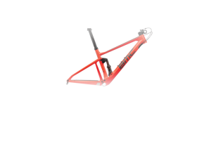 Рама BMC Fourstroke 01 Red/Grey/Grey 2021