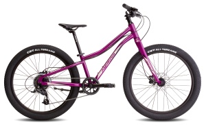 Велосипед Merida MATTS J 24+ Pro