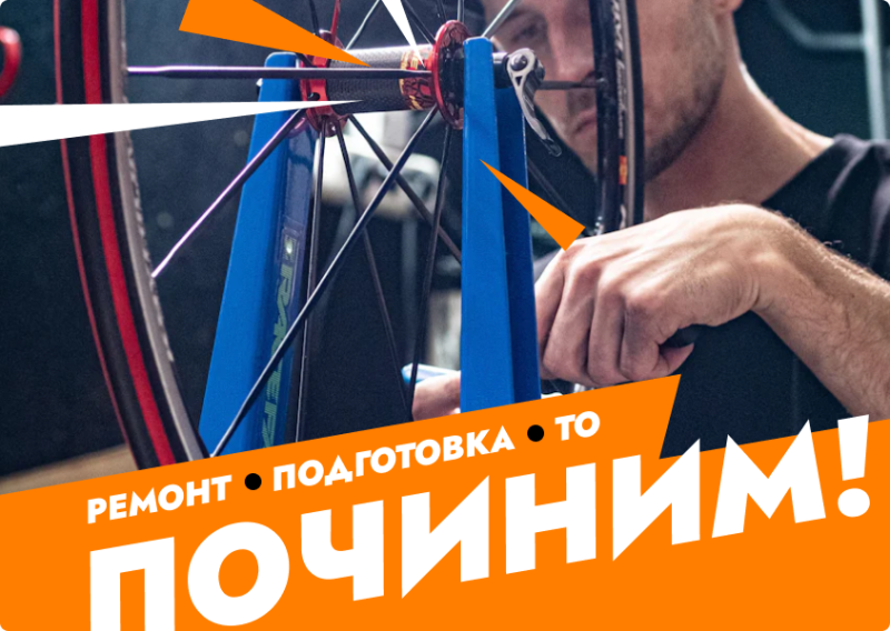 Профессиональная мастерская