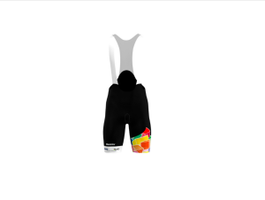 Велошорты Santini Mapei UCI 30 Bib-Shorts