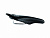 ff69743f-42fc-11ed-b80a-ac1f6bd8b37f_1