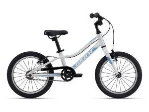 Велосипед Giant ARX 16 F/W 2022 Велосипед Giant ARX 16 F/W 2022
