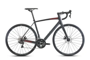 Pardus Super Sport Disc_black