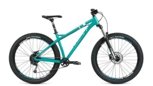 Велосипед Format 1313 Plus (2021)