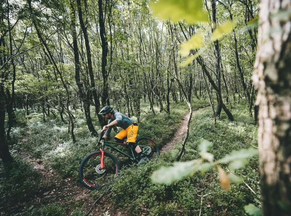 BIG.TRAIL