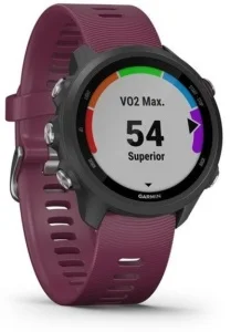 Часы Garmin Forerunner 245 GPS EU