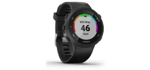 Часы Garmin Forerunner 45 GPS Large EU