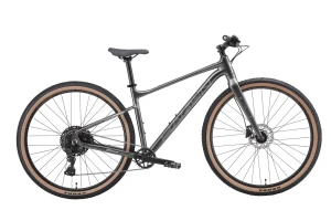 Велосипед Hagen 1.10R 29" (2025)