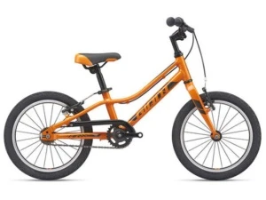 Велосипед Giant ARX 16 F/W 2021 Велосипед Giant ARX 16 F/W 2021