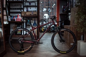 Велосипед NS Bikes Eccentric Cromo 29