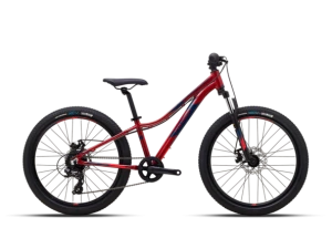 Велосипед Polygon RELIC24 24 2023