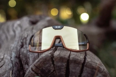 Очки Neon Canyon Fotocromatico (Terra Black/Bronze)
