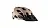 82447aad-7bad-11ed-b80a-ac1f6bd8b37f_1