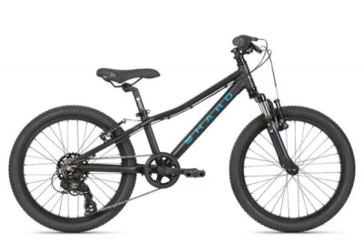 Велосипед Haro Flightline 20" (One Size Черный)