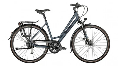 Велосипед Bergamont Horizon 4 Amsterdam (2021) (XS (150-165) Серый)