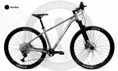 Велосипед ATOM BION NINE PRO (Серый S (155-172))