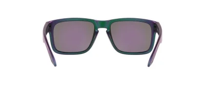 Очки Oakley Holbrook Troy Lee Designs Series